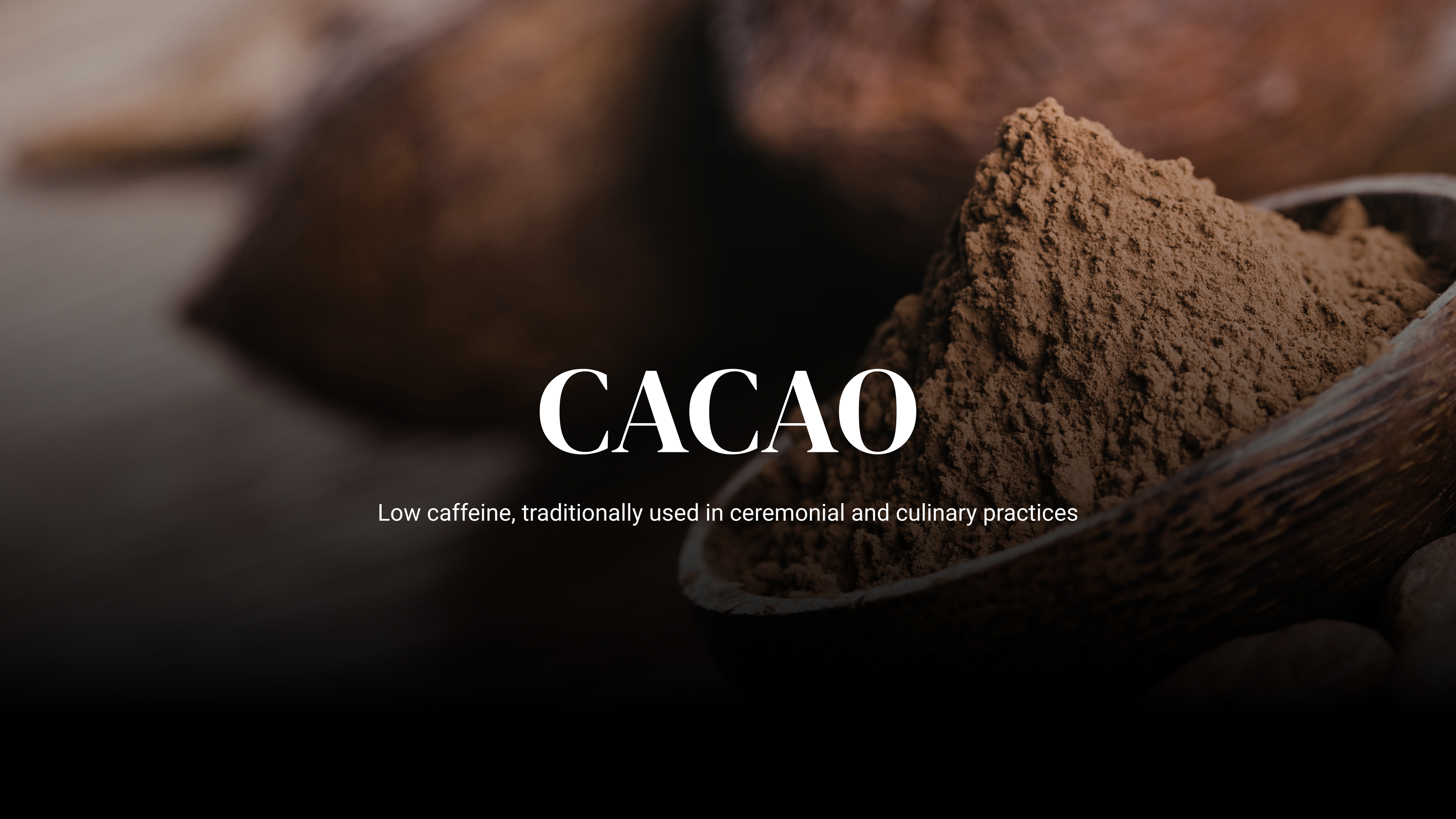 Cacao powder in a wooden scoop with a blurred background